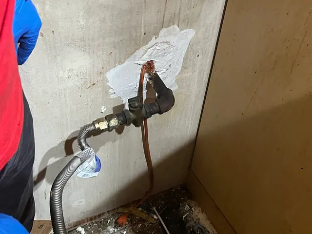 TRI-COUNTY PEST CONTROL.INC. — customer photo 2