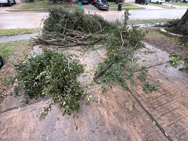 Alpha Omega Junk Removal — customer photo 11