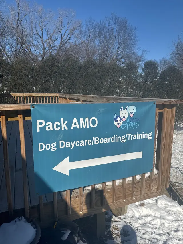 Pack AMO — photo from the business 12