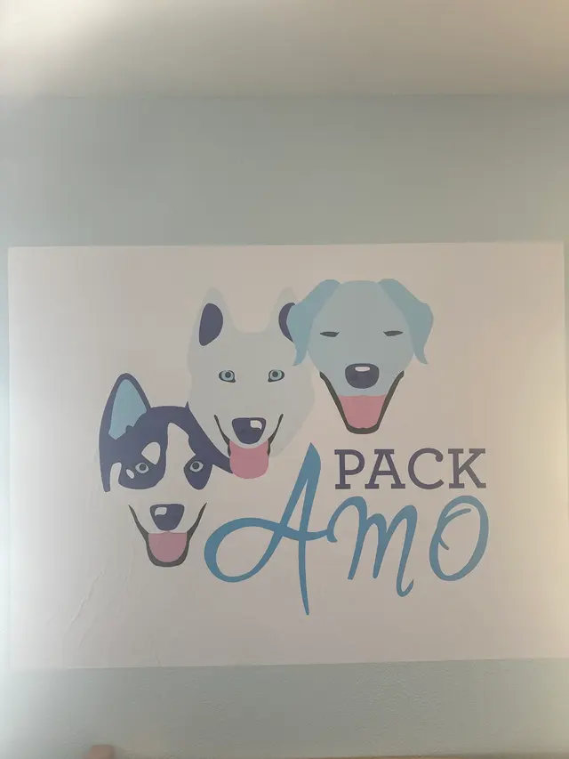Pack AMO — photo from the business 8
