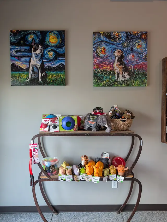 Clear Creek Dog Resort — customer photo 7