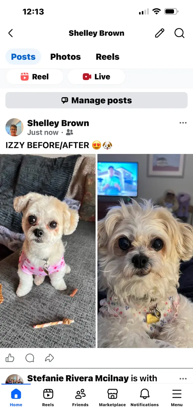 Customer photo from Shelley's review