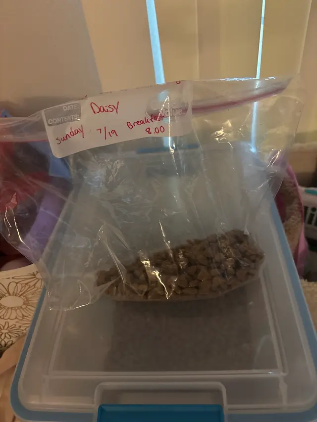 Customer photo from Natalie's review