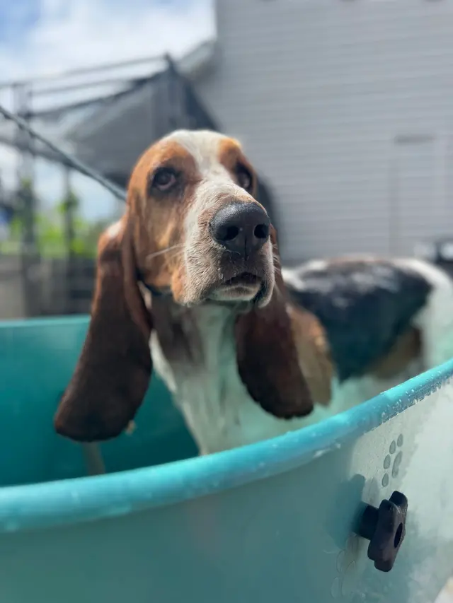 Customer photo from Heather's review