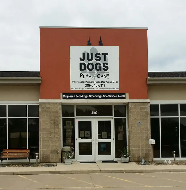 Just Dogs PlayCare — customer photo 3