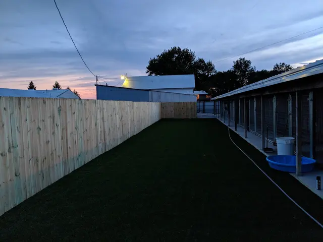 Two Sisters Kennels — photo from the business 10