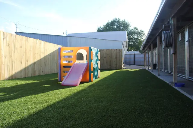 Two Sisters Kennels — photo from the business 3