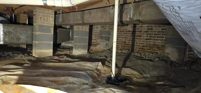 American Plumbing and Drain Services — photo from the business 3
