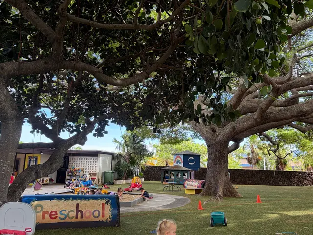 Kilohana Preschool — photo from the business 10