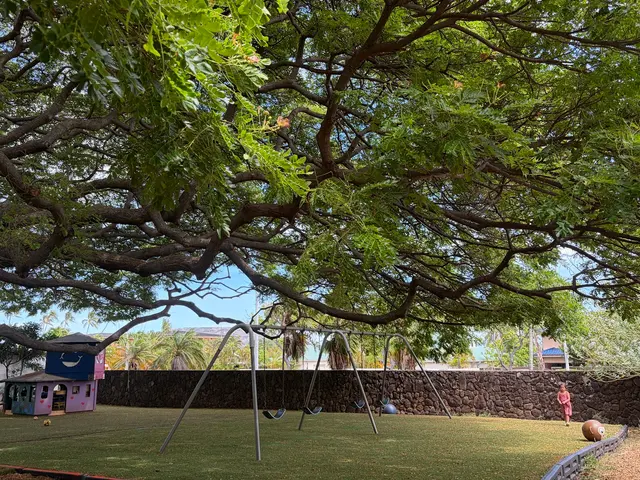 Kilohana Preschool — photo from the business 7