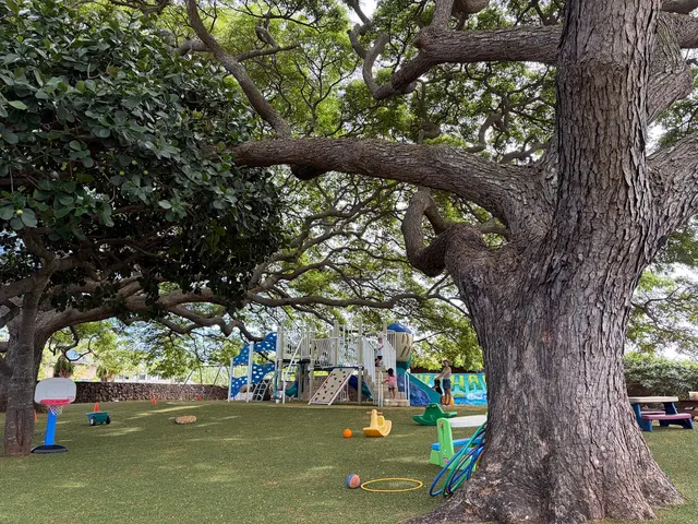 Kilohana Preschool — photo from the business 8