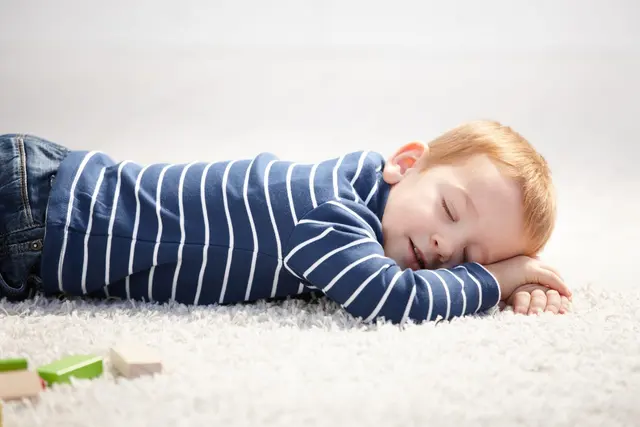 Xtreme Clean Carpet Care — photo from the business 10