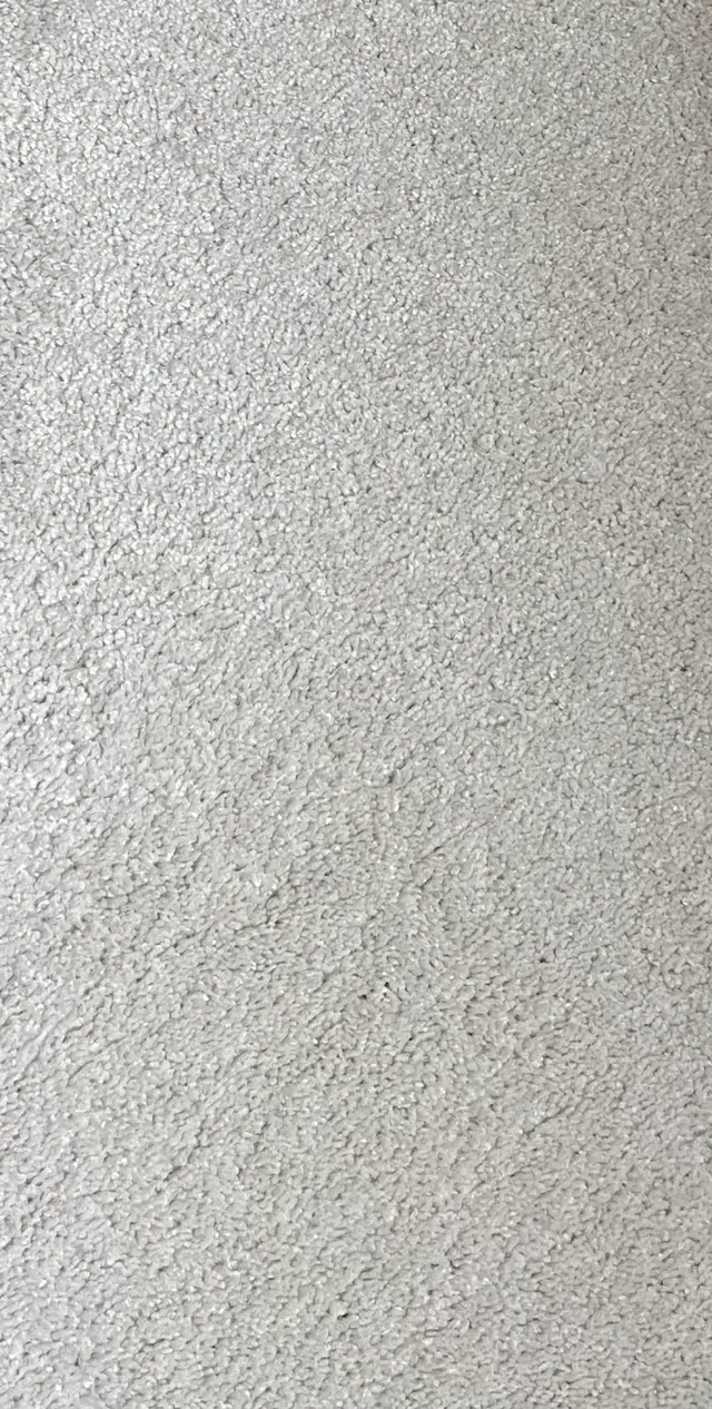 Xtreme Clean Carpet Care — customer photo 8
