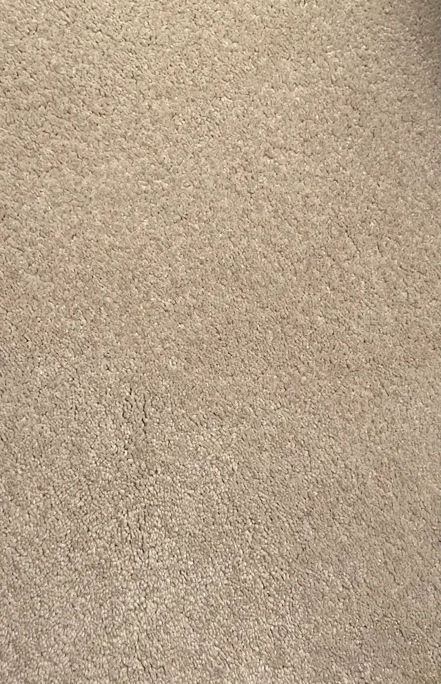 Xtreme Clean Carpet Care — customer photo 9