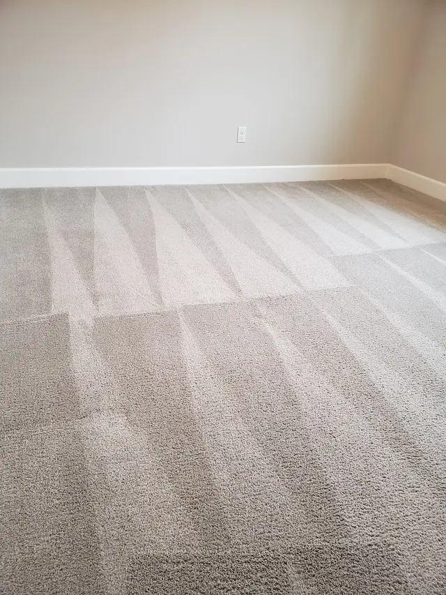 Xtreme Clean Carpet Care — customer photo 3