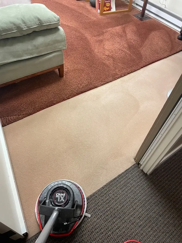 Sno-King Quality Cleaning — photo from the business 3