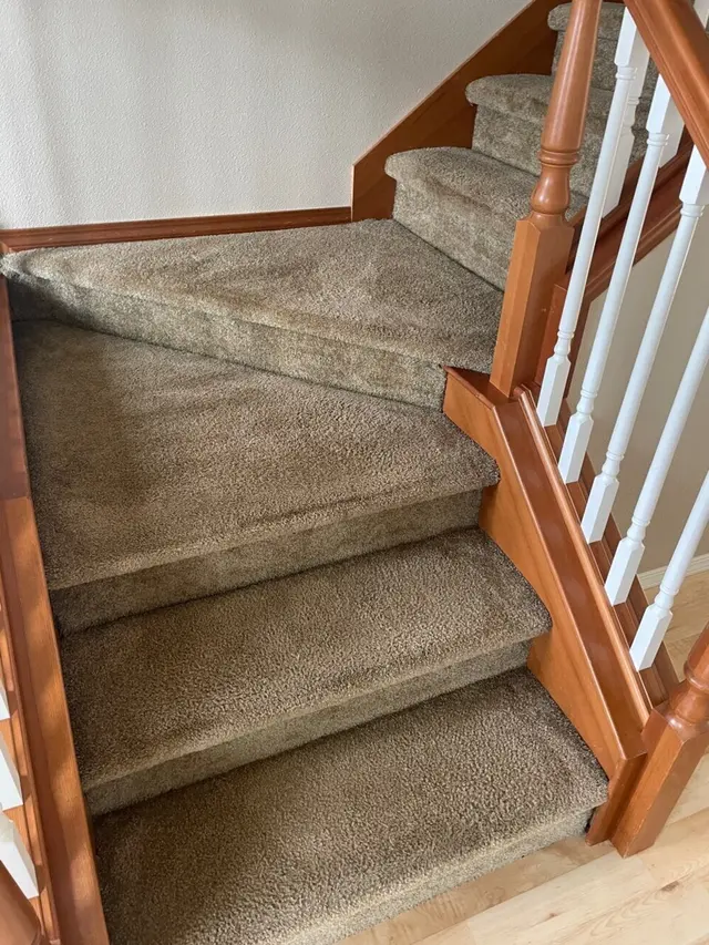Sno-King Quality Cleaning — photo from the business 2
