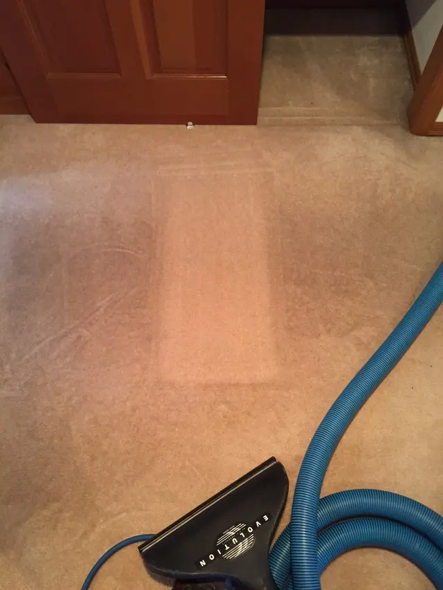 Sno-King Quality Cleaning — photo from the business 10