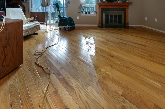 Sno-King Quality Cleaning — customer photo 12