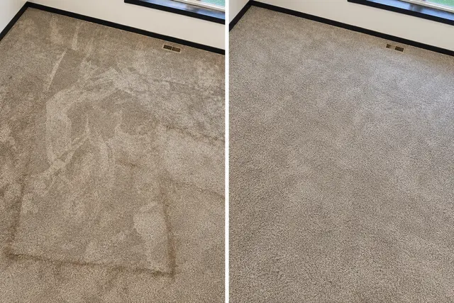 Customer photo from Amanda's review