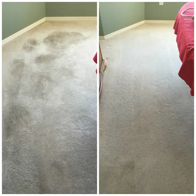 Zerorez of Puget Sound Carpet Cleaning — photo from the business 4
