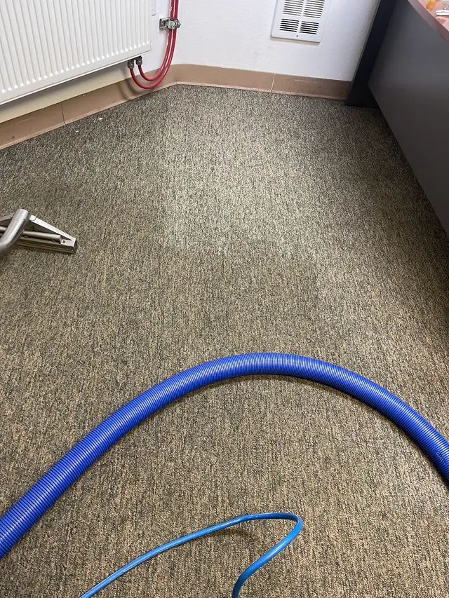 Zerorez of Puget Sound Carpet Cleaning — photo from the business 5