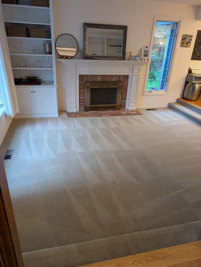 Zerorez of Puget Sound Carpet Cleaning — customer photo 3