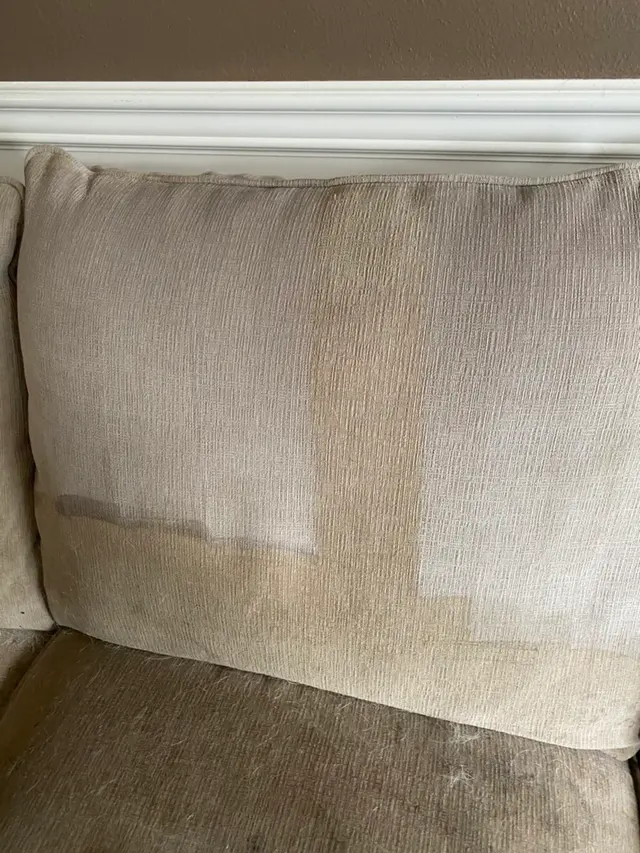 Zerorez of Puget Sound Carpet Cleaning — photo from the business 6