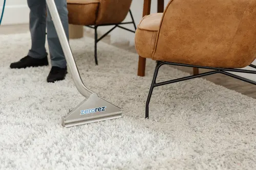 Zerorez Seattle Carpet Cleaning — photo from the business 10
