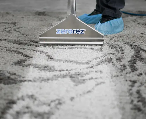 Zerorez Seattle Carpet Cleaning — photo from the business 4