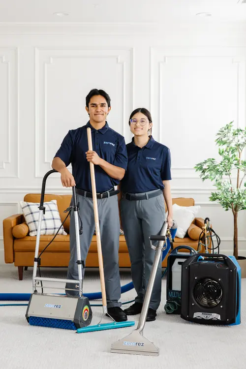 Zerorez Seattle Carpet Cleaning — photo from the business 8