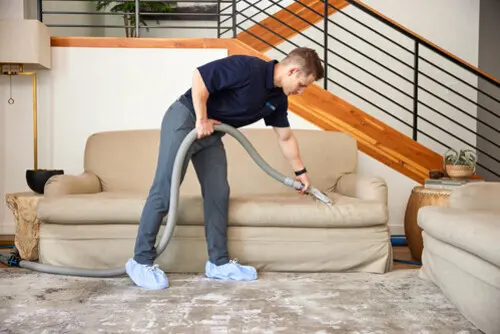 Zerorez Seattle Carpet Cleaning — photo from the business 3
