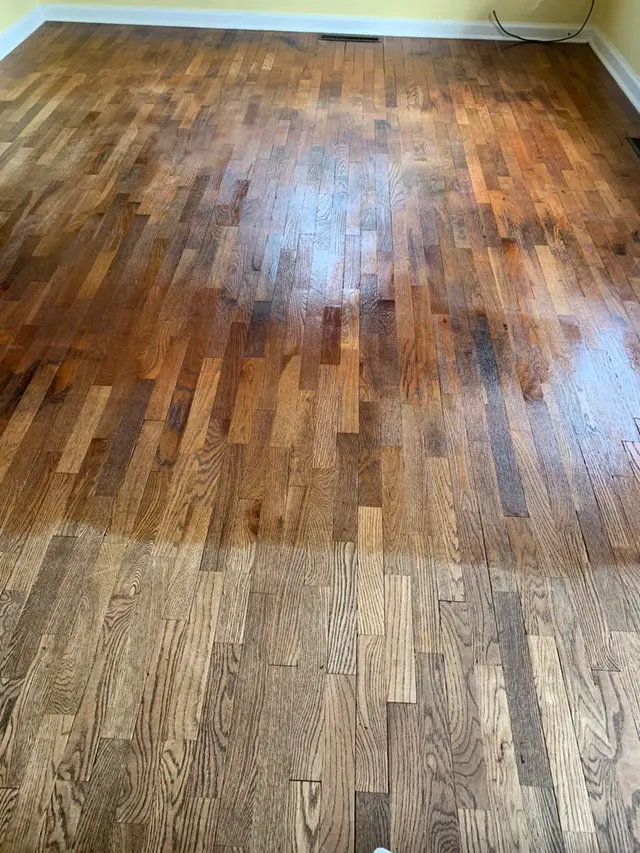 Zerorez Seattle Carpet Cleaning — photo from the business 12