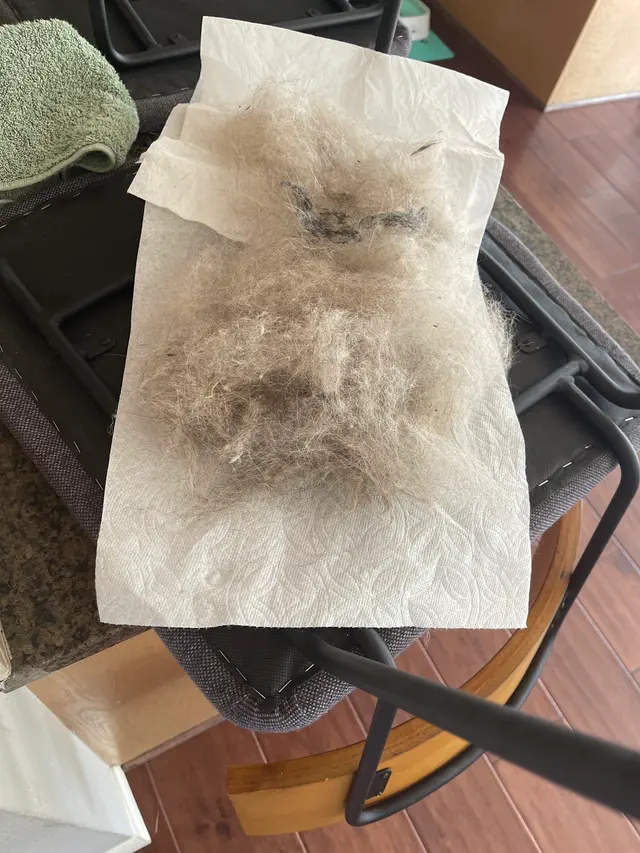 Customer photo from Shuo's review