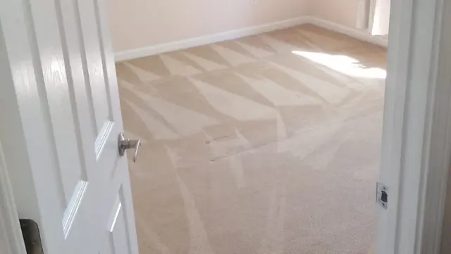 Seattle Steamers | Specialty Cleaning — photo from the business 4
