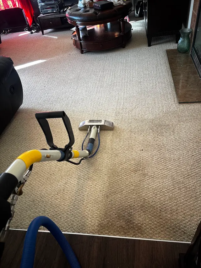 Seattle Steamers | Specialty Cleaning — photo from the business 6