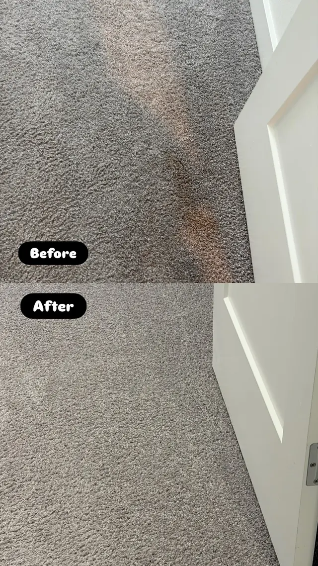 Customer photo from Jenny's review