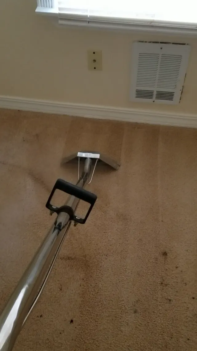 Seattle Steamers | Specialty Cleaning — photo from the business 3