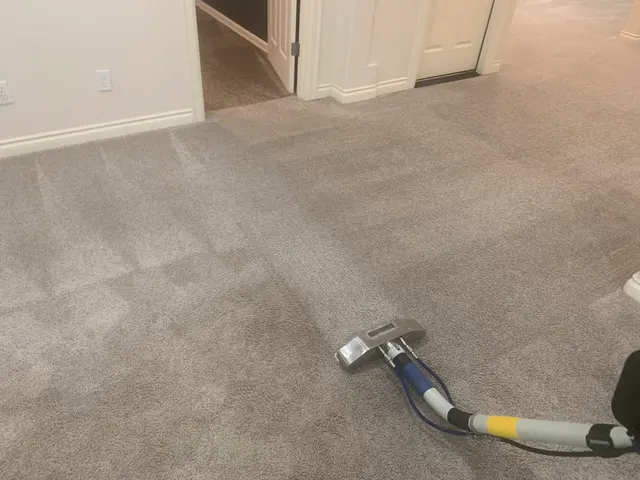 Seattle Steamers | Specialty Cleaning — photo from the business 8