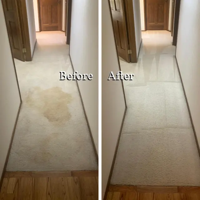 Seattle Steamers | Specialty Cleaning — photo from the business 11