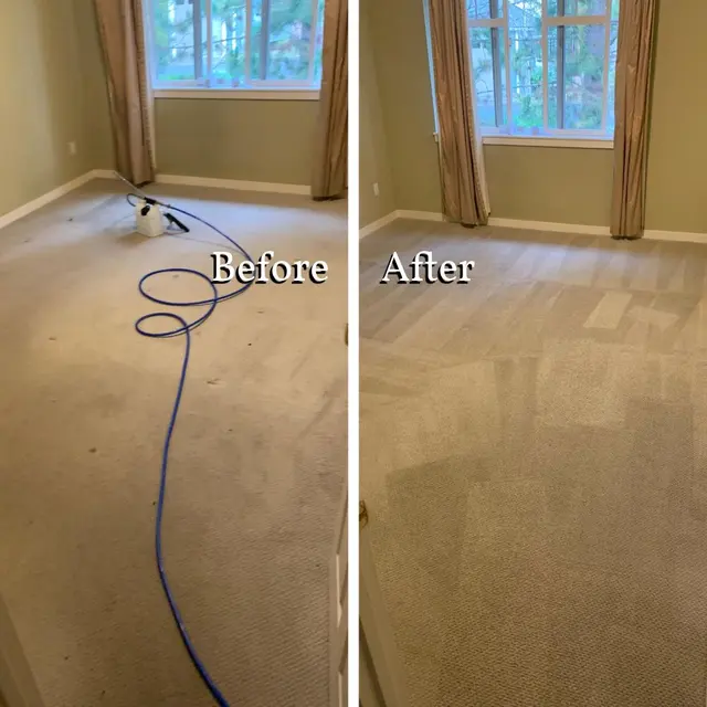 Seattle Steamers | Specialty Cleaning — photo from the business 12