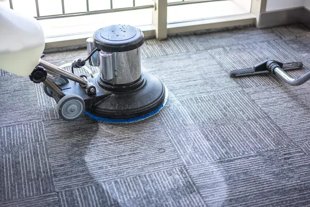North Seattle Carpet Cleaning — photo from the business 10
