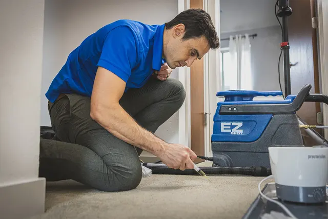 North Seattle Carpet Cleaning — photo from the business 8