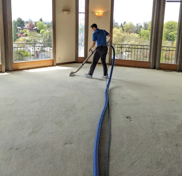 North Seattle Carpet Cleaning — photo from the business 1