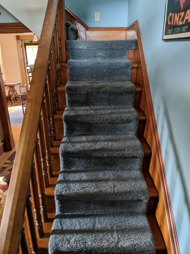 North Seattle Carpet Cleaning — photo from the business 5