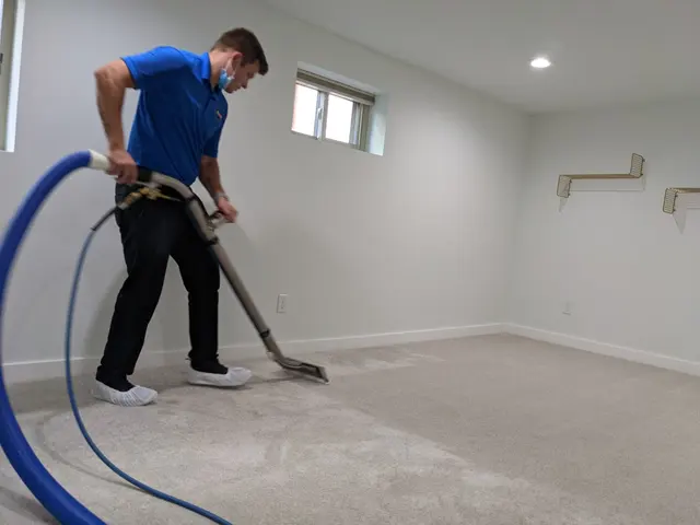 North Seattle Carpet Cleaning — photo from the business 7