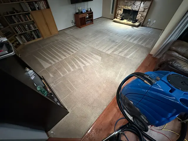 North Seattle Carpet Cleaning — photo from the business 2