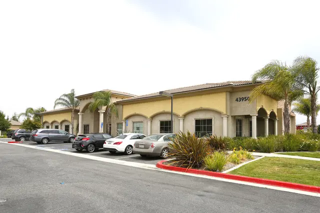 Chief Physical Therapy — photo from the business 4