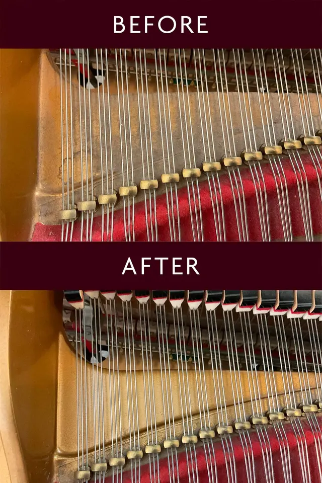Teton Music | Piano Tuning, Strings, Sheet Music & Rentals — photo from the business 10