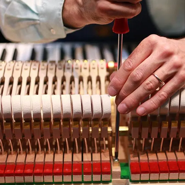 Teton Music | Piano Tuning, Strings, Sheet Music & Rentals — photo from the business 7